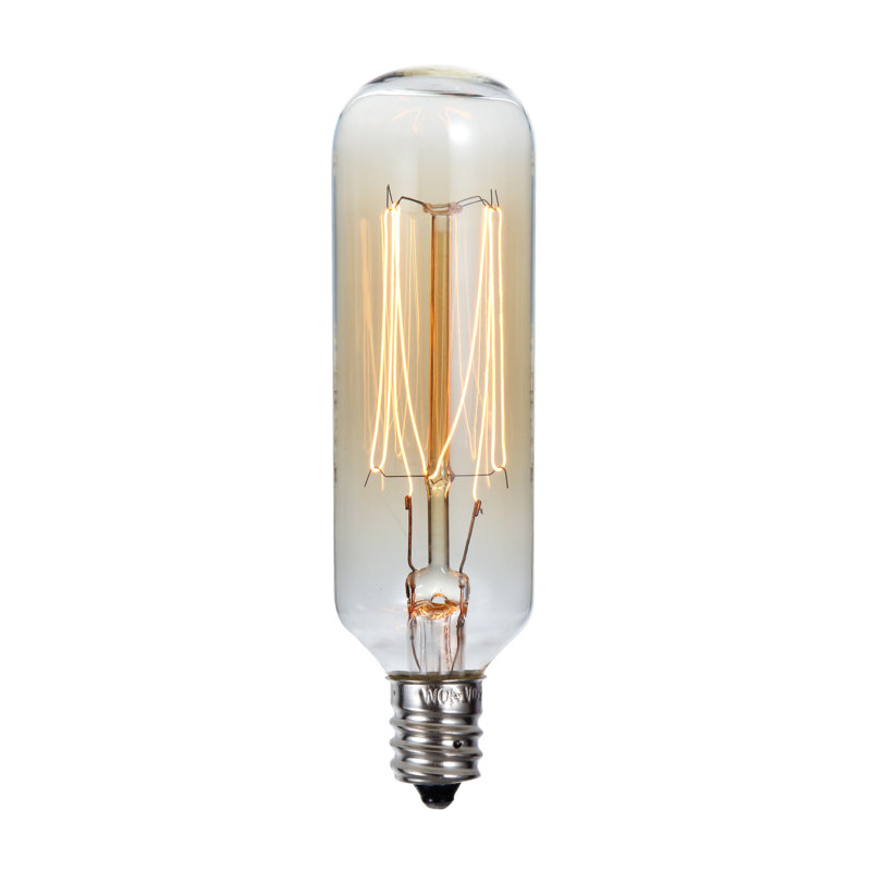 Cal Lighting 40W E12 Dimmable Incandescent Edison Light Bulb & Reviews